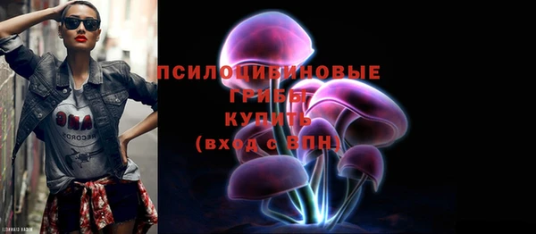 стаф Беломорск