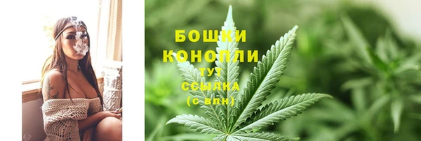 стаф Беломорск