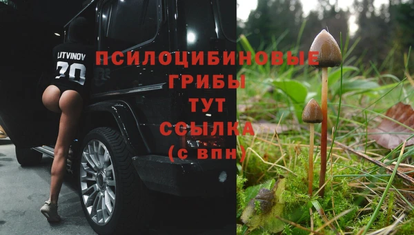хмурый Белоозёрский